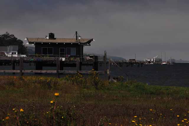 on Tomales Bay at Inverness